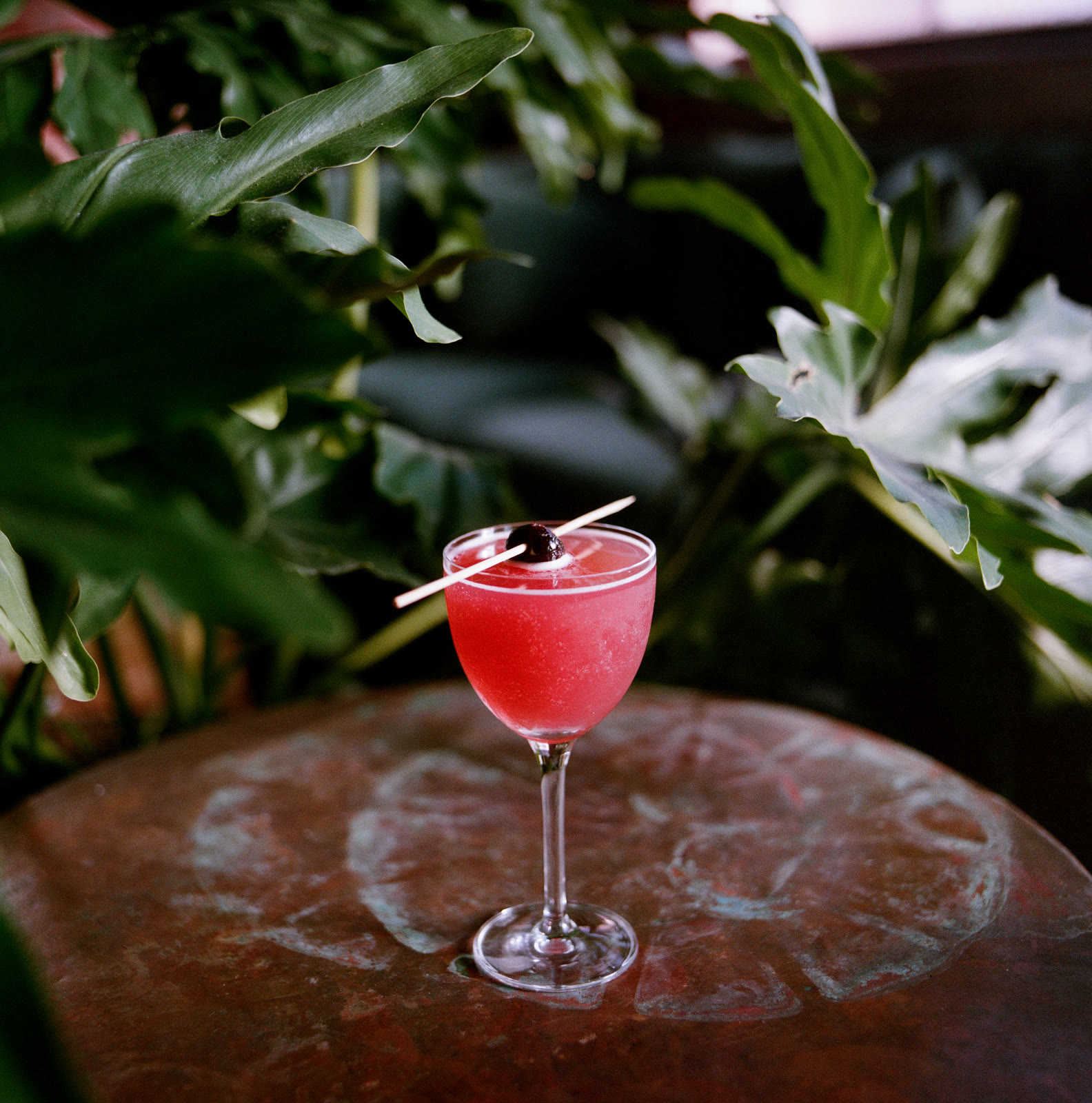 A pink cocktail on a copper table surrounded by plants at Margolis