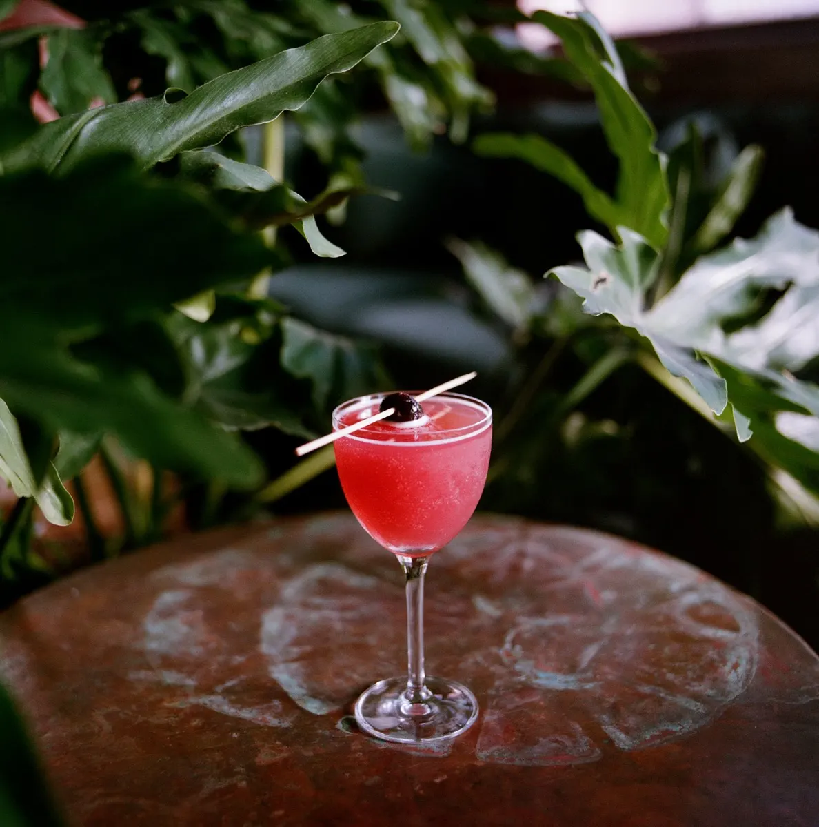A pink cocktail on a copper table surrounded by plants at Margolis